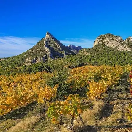 L'oree Des Alpilles Proche Centre St Remy De Provence Saint-Remy-de-Provence